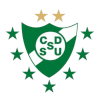 DYS体育联合会logo