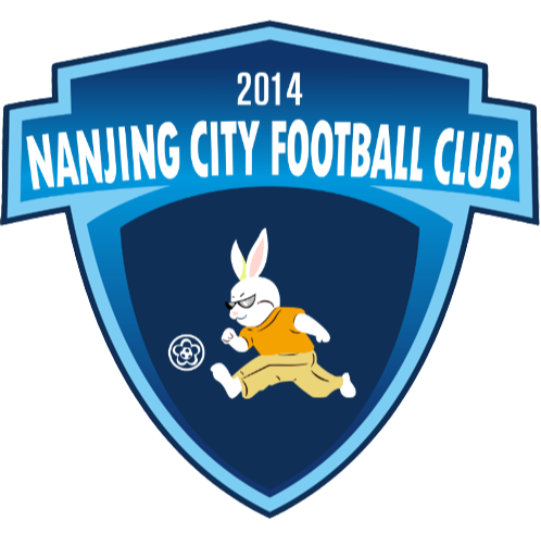 南京城市U17logo