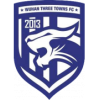 武汉三镇U15logo