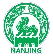 南京队logo