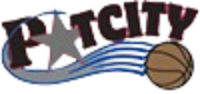 帕特城logo
