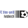 BW费尔德基希logo